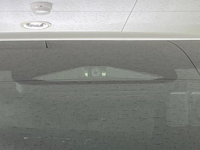 24051273_carP_l_14.jpg
