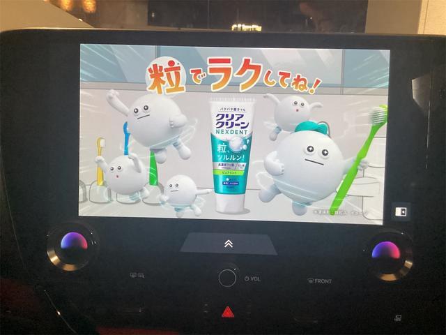 22870007_carP_l_5.jpg