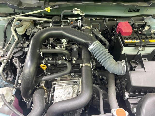 24260010_carP_l_16.jpg