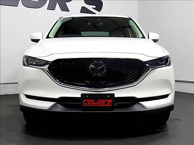 24722428_carP_l_10.jpg
