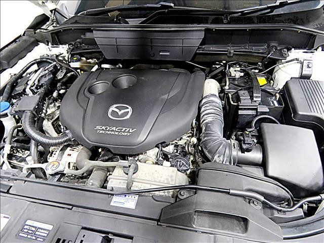 24722428_carP_l_20.jpg