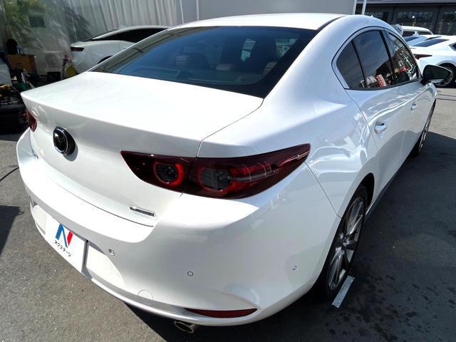 23945432_carP_l_20.jpg