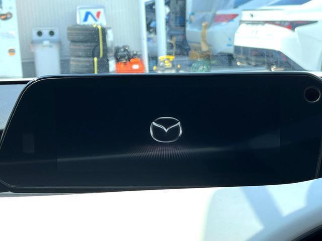 23945432_carP_l_4.jpg