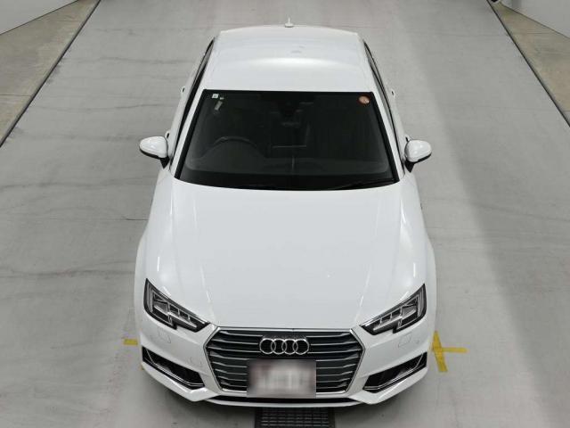 24482254_carP_l_19.jpg