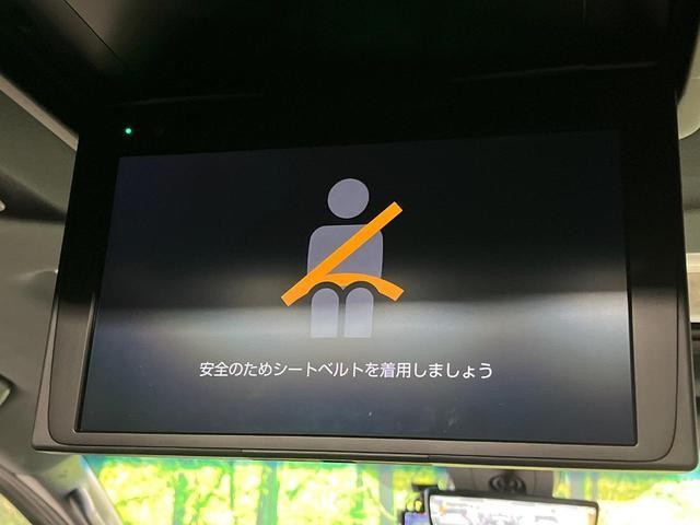 24953345_carP_l_10.jpg