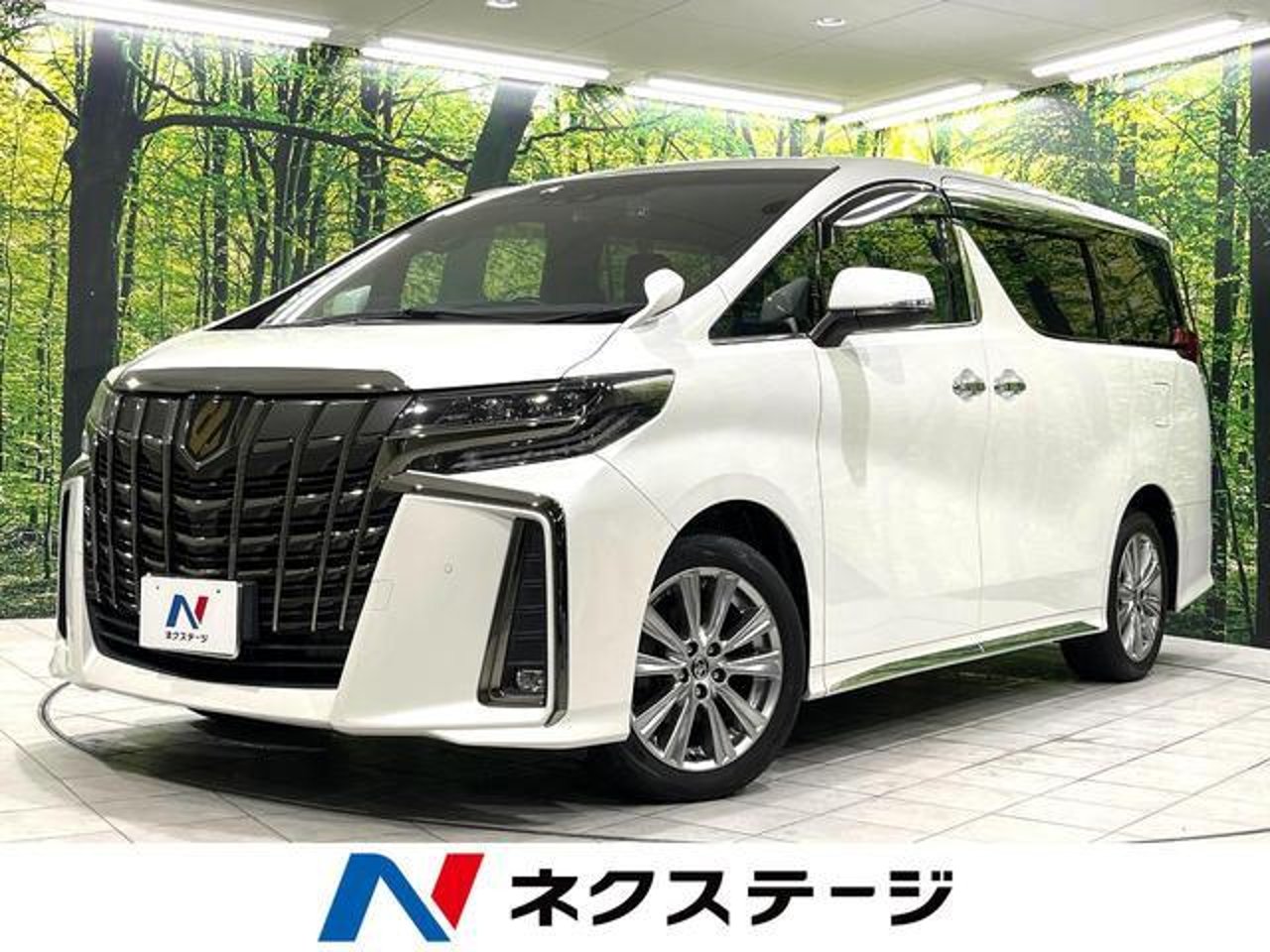 2021 Toyota Alphard, photo 1 of 1