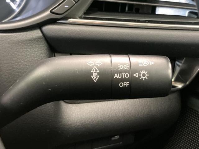 24926874_carP_l_12.jpg