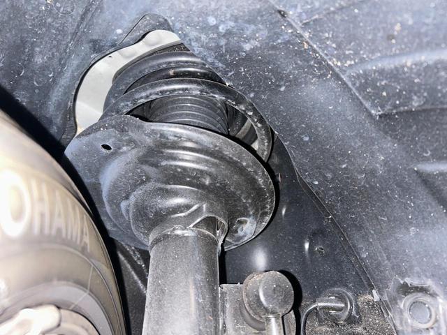 20764567_carP_l_20.jpg