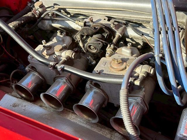19750469_carP_l_6.jpg