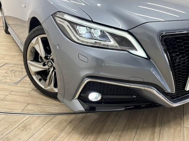 24233642_carP_l_20.jpg