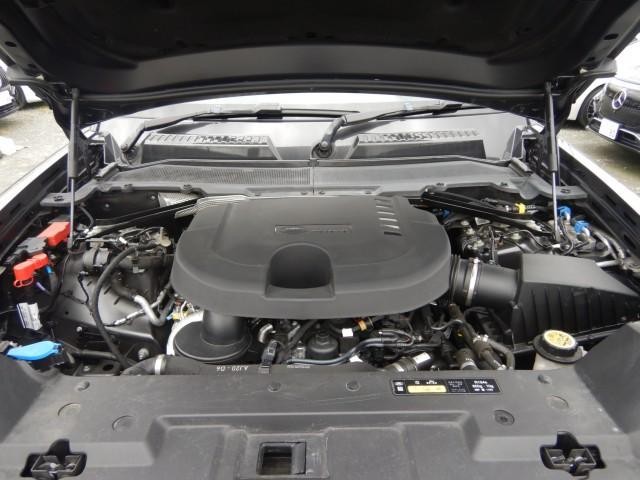 24833910_carP_l_19.jpg