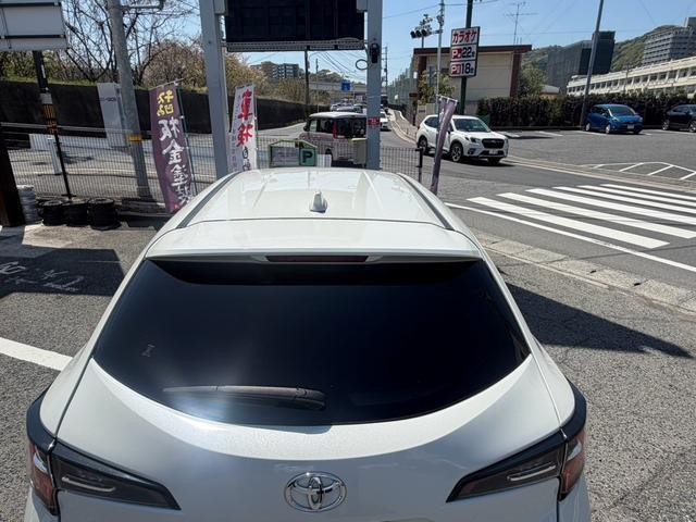 23314664_carP_l_14.jpg