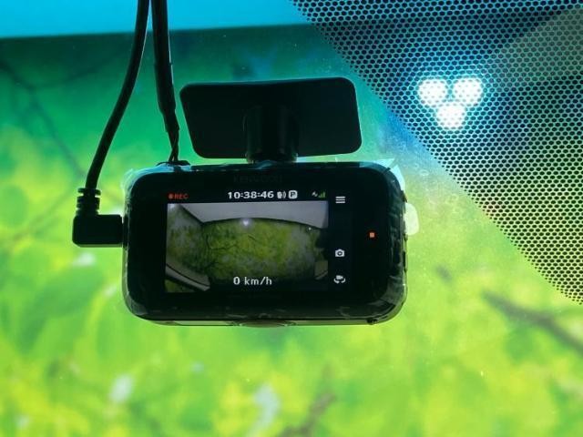 25020223_carP_l_7.jpg