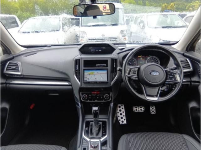 25225865_carP_l_15.jpg