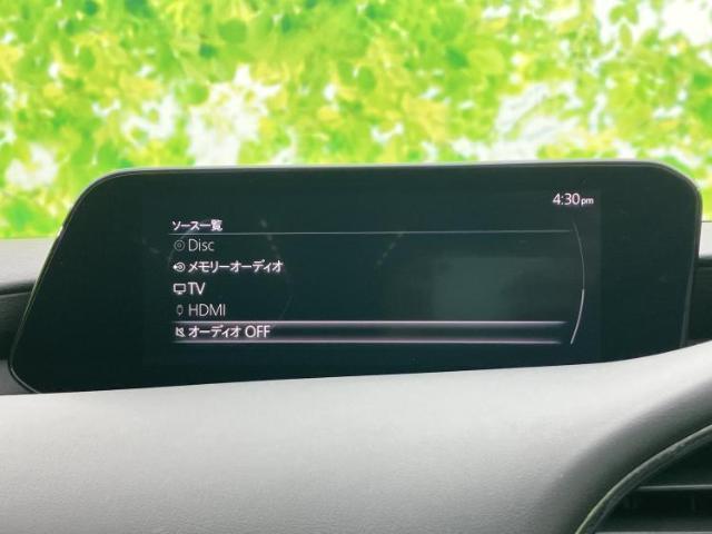 23068288_carP_l_6.jpg