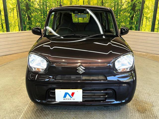 23635305_carP_l_8.jpg