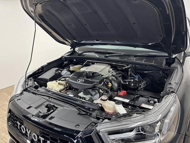 24233649_carP_l_16.jpg