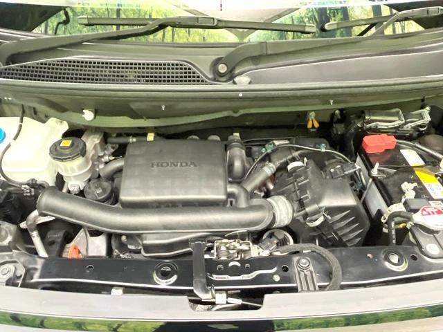 25055869_carP_l_16.jpg