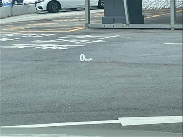 24233655_carP_l_10.jpg