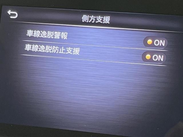 24581662_carP_l_13.jpg