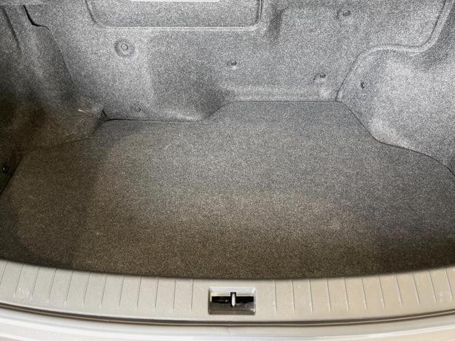 24581662_carP_l_6.jpg