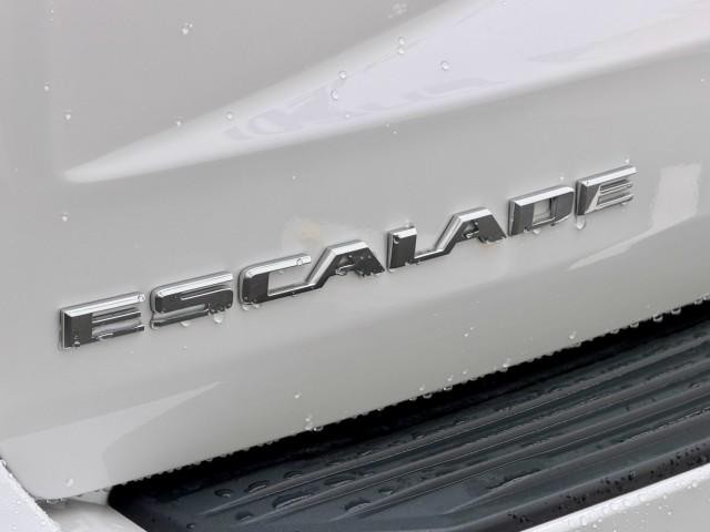 25510899_carP_l_11.jpg