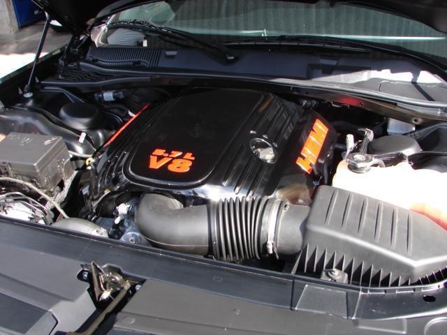 14773302_carP_l_5.jpg
