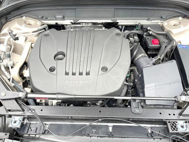 26168803_carP_l_20.jpg