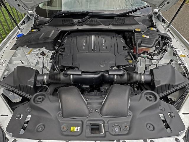 22901801_carP_l_17.jpg