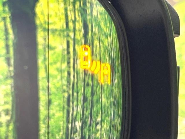 24299894_carP_l_13.jpg