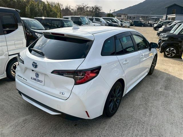 21989946_carP_l_6.jpg