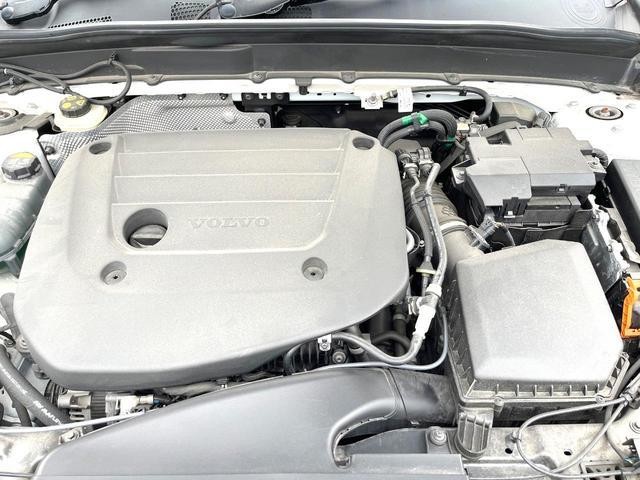 24974227_carP_l_20.jpg