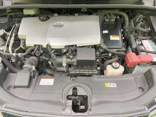25506911_carP_l_16.jpg