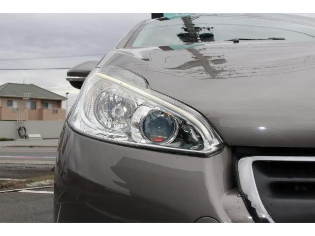 24345391_carP_l_7.jpg