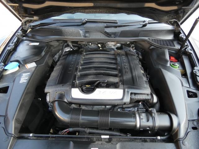 22429168_carP_l_17.jpg