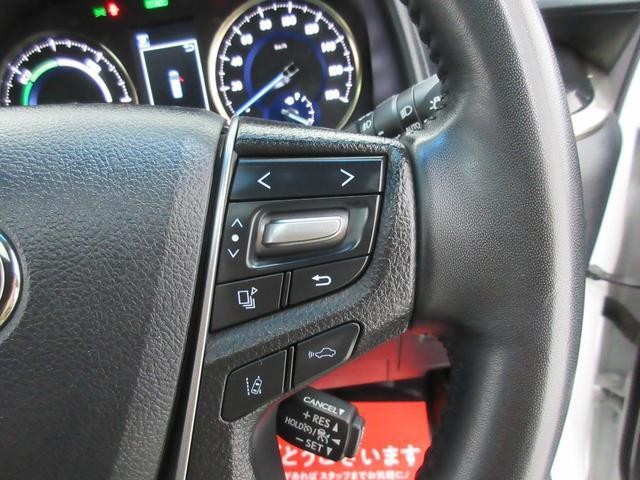 25734363_carP_l_7.jpg