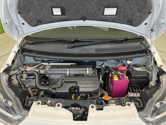 25506963_carP_l_16.jpg