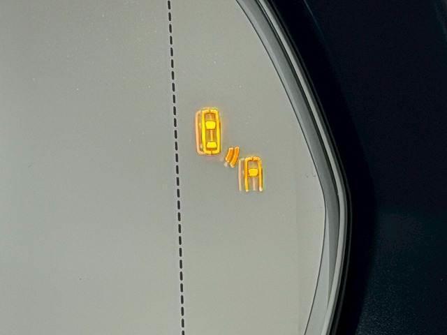 20325607_carP_l_2.jpg