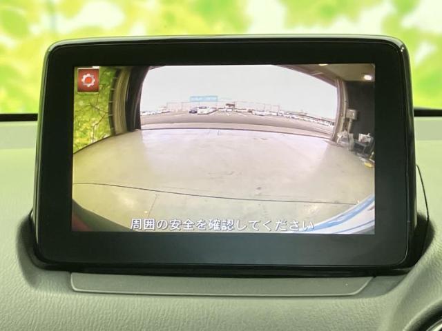22100700_carP_l_7.jpg