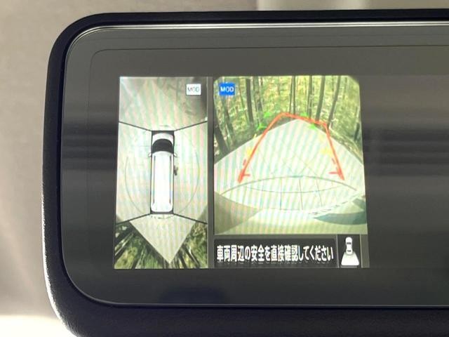 23987236_carP_l_10.jpg