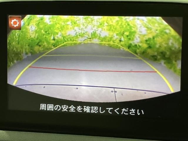 23890068_carP_l_6.jpg