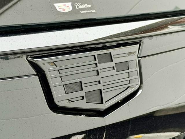 26028711_carP_l_20.jpg