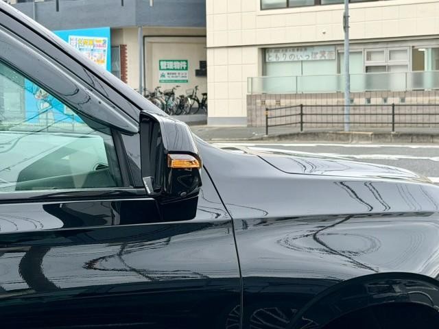 26028711_carP_l_9.jpg