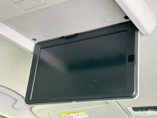 25572007_carP_l_15.jpg
