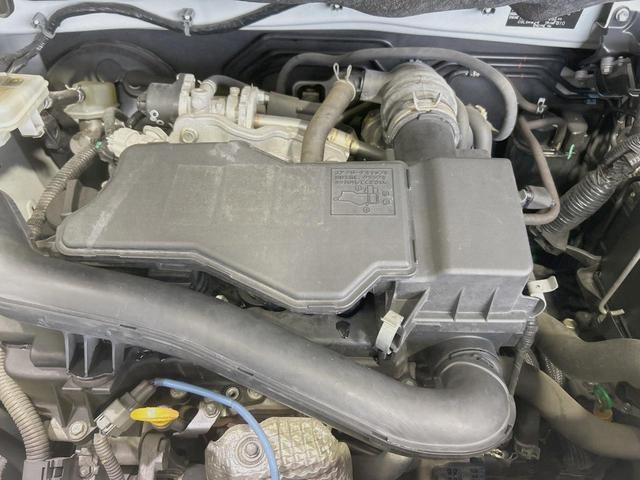 24726445_carP_l_16.jpg
