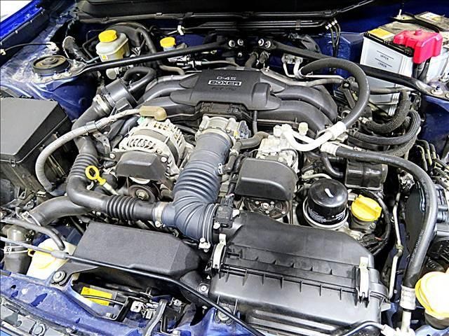 24805359_carP_l_20.jpg