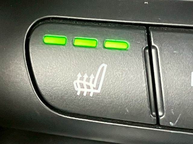 06.jpg
