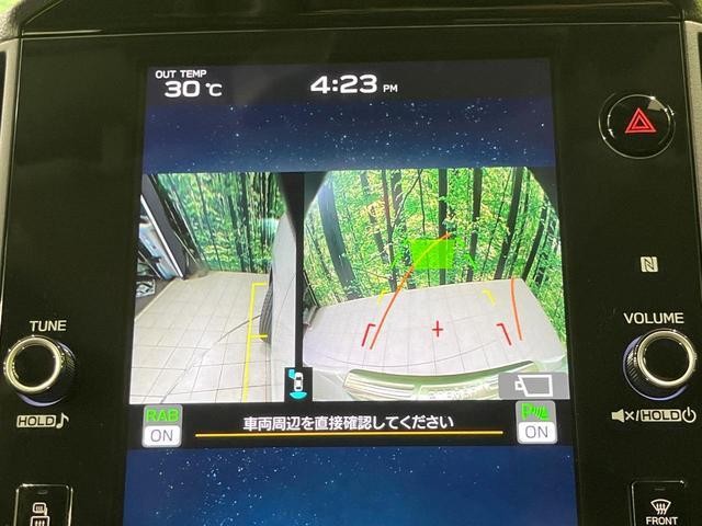 25694455_carP_l_10.jpg