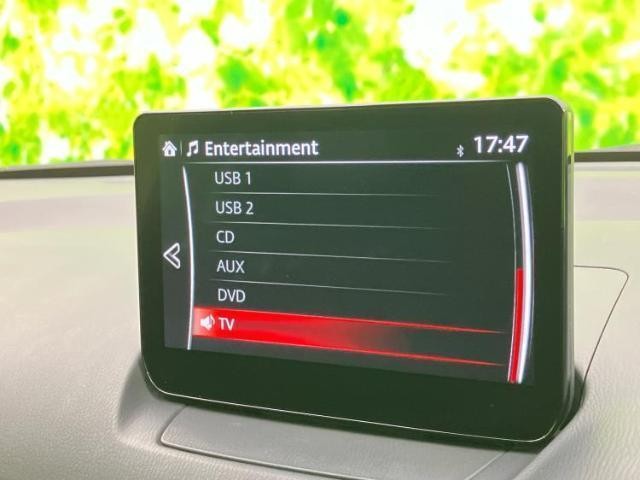 23905008_carP_l_7.jpg