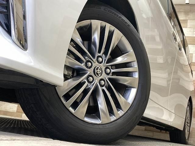 23708876_carP_l_18.jpg